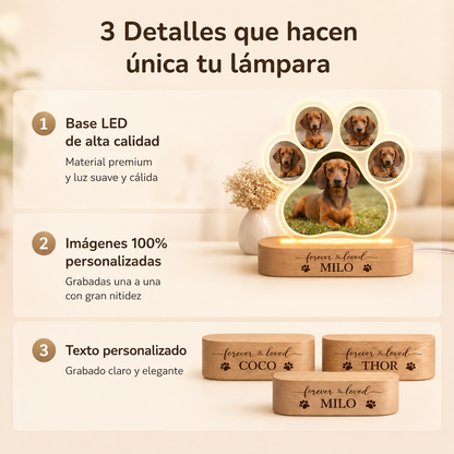 Lámpara Personalizada Mascota