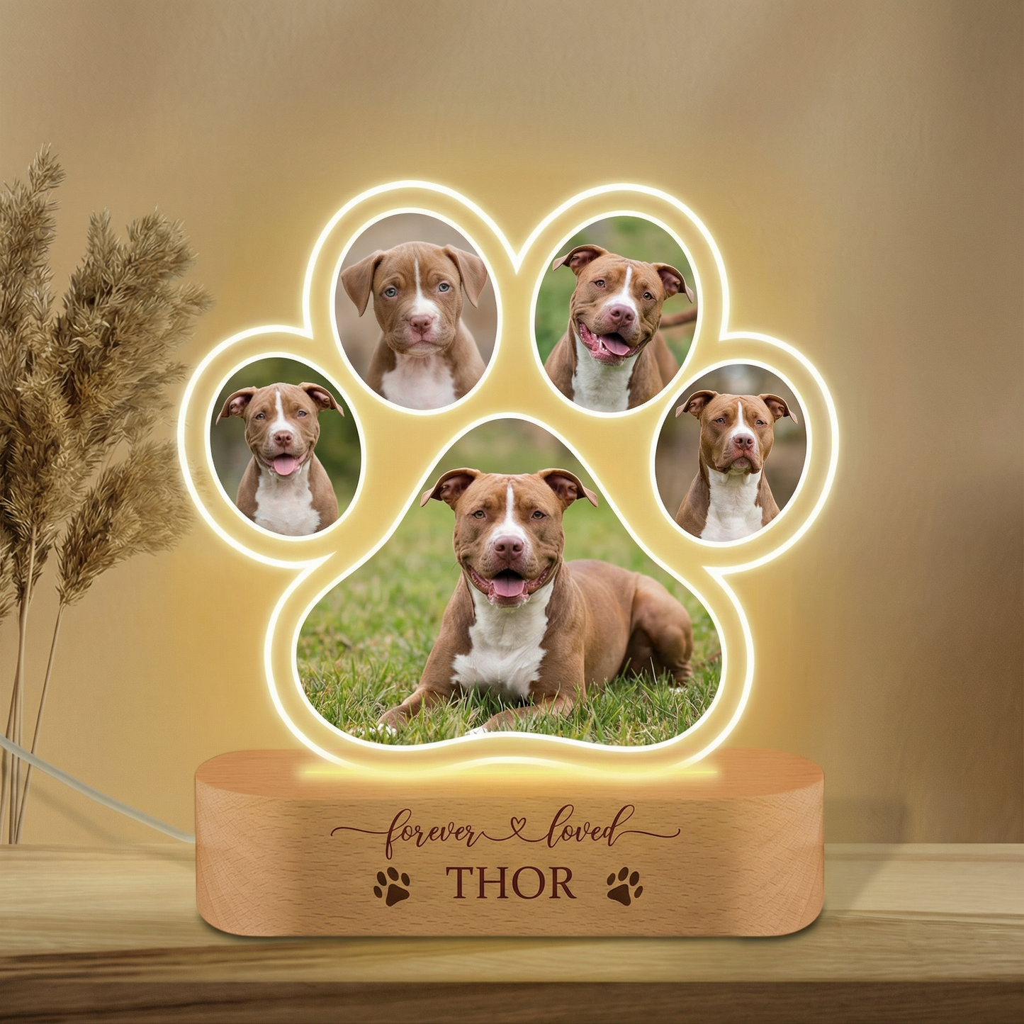 Lámpara Personalizada Mascota